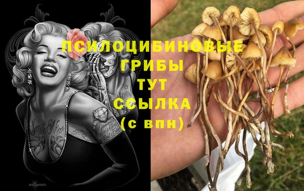мяу мяу мука Богородицк