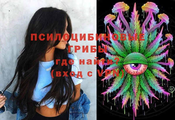 PSILOCYBIN Михайловка