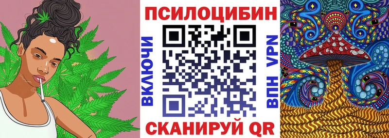 MEGA зеркало  Ессентукская  Галлюциногенные грибы мицелий 